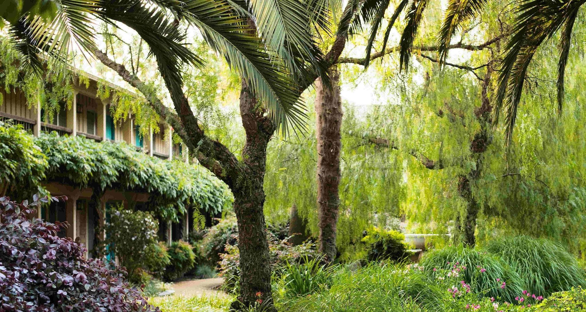 Things To Do in Sonoma | El Pueblo Inn